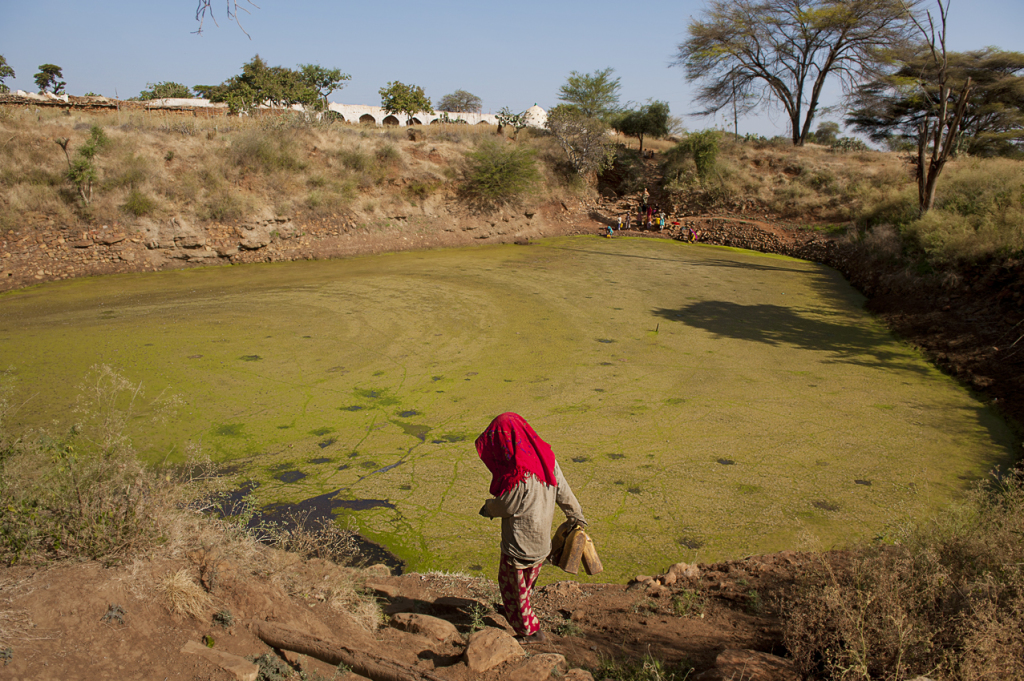 Zemzemdure, la pozza di acqua sacra all'interno del santuario di Sheikh Hussein