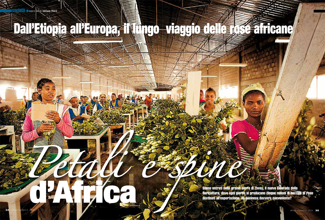 Petali e spine d'Africa – Africa 3/2014