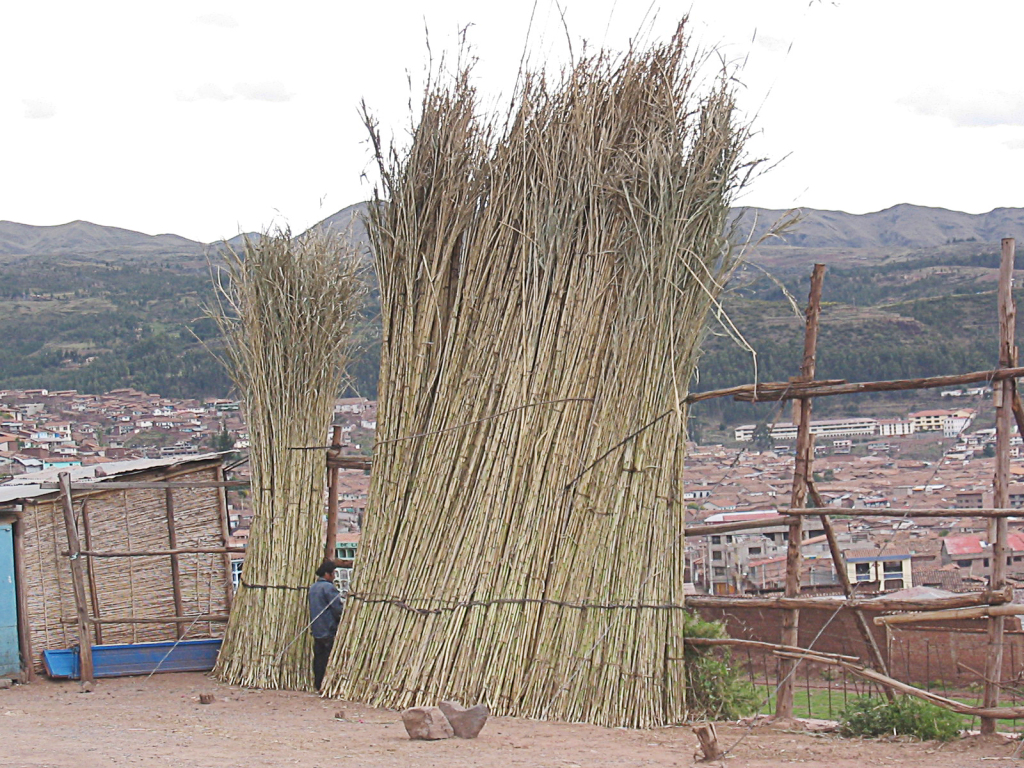 Cusco