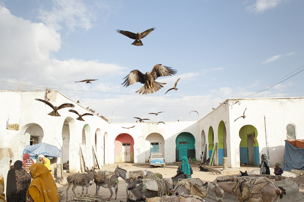 Harar meat market