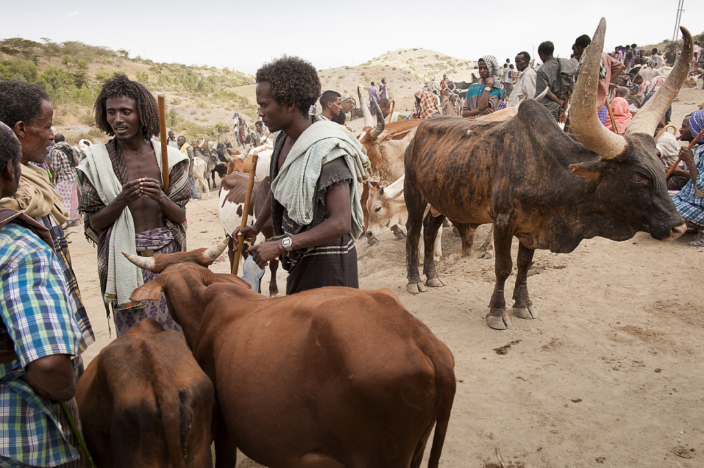 mercanti afar a Bati